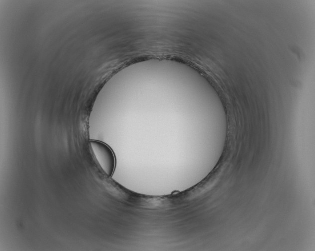 X0000114000432200910021034