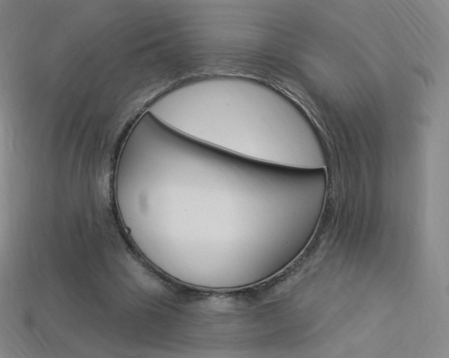 X0000114000441200910021033