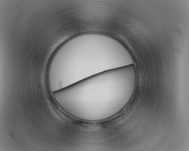 X0000114000443200910021033