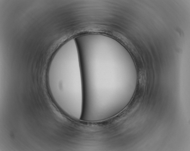 X0000114000445200910021034
