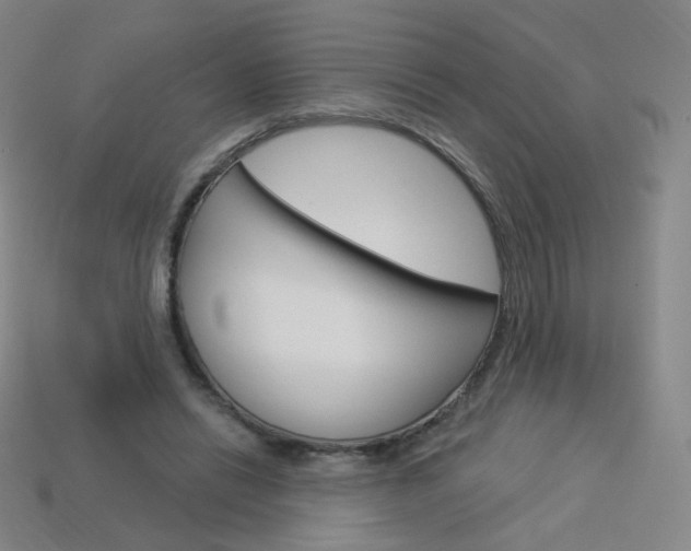 X0000114000446200910021034