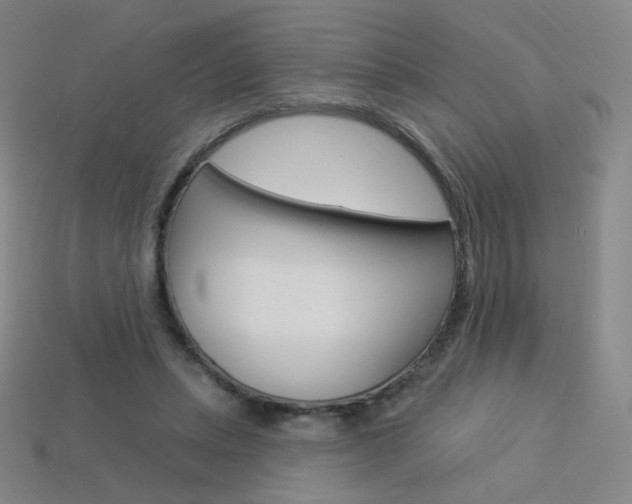 X0000114000447200910021034