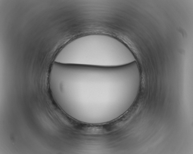 X0000114000449200910021034