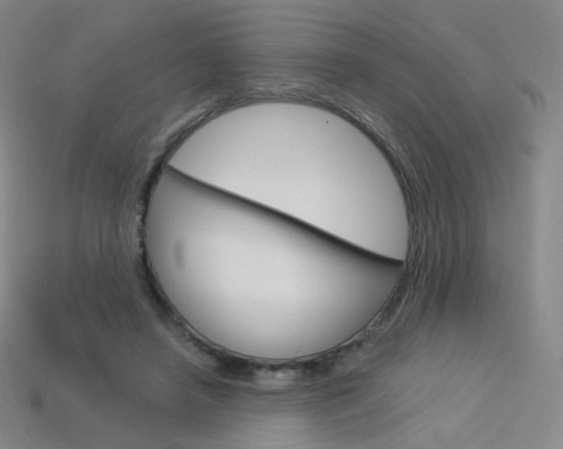 X0000114000450200910021034