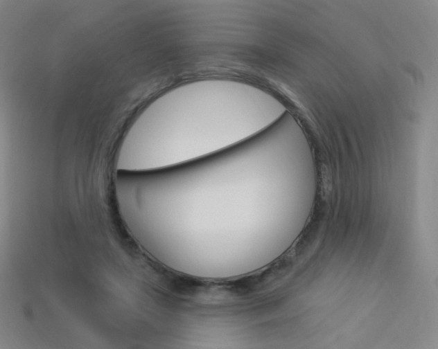 X0000114000451200910021034
