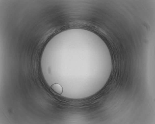 X0000114000452200910021034