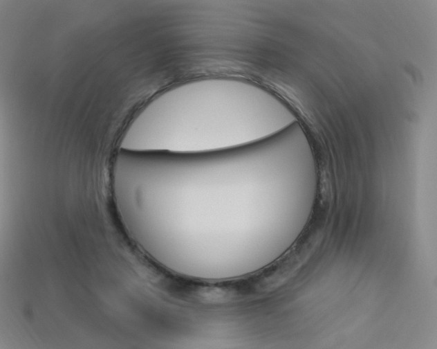 X0000114000453200910021034