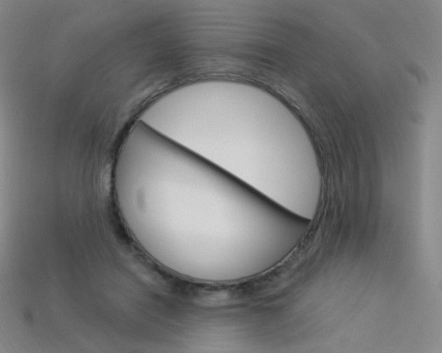 X0000114000454200910021034