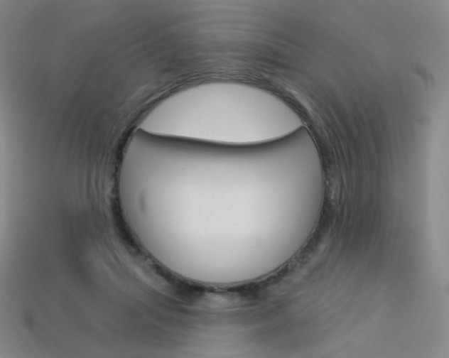 X0000114000455200910021034