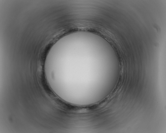X0000114000456200910021034
