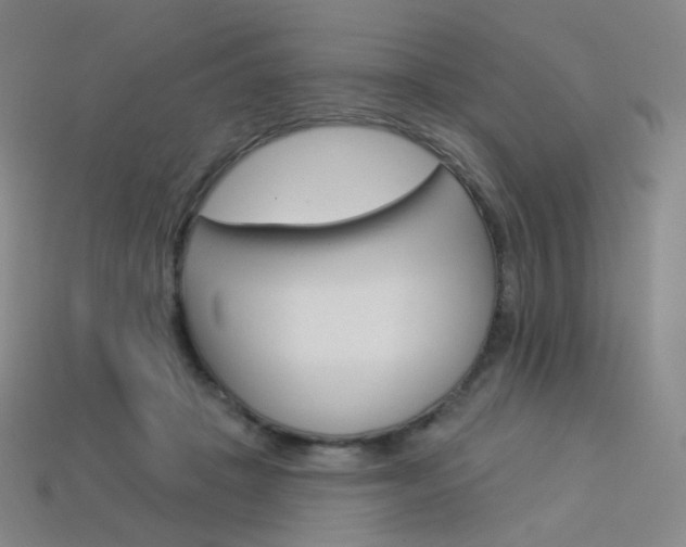 X0000114000457200910021034