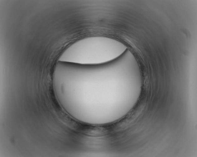 X0000114000459200910021034