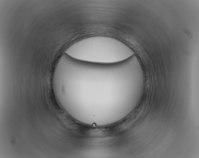 X0000114000461200910021034