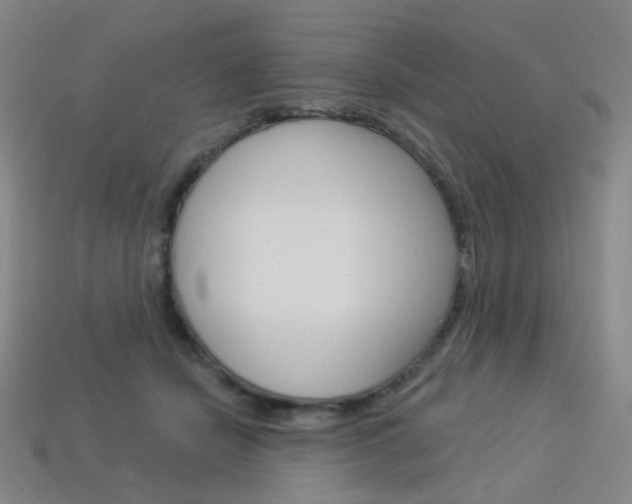 X0000114000462200910021034