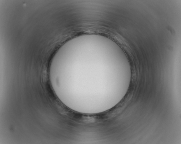 X0000114000469200910021034