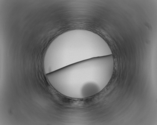 X0000114000471200910021034