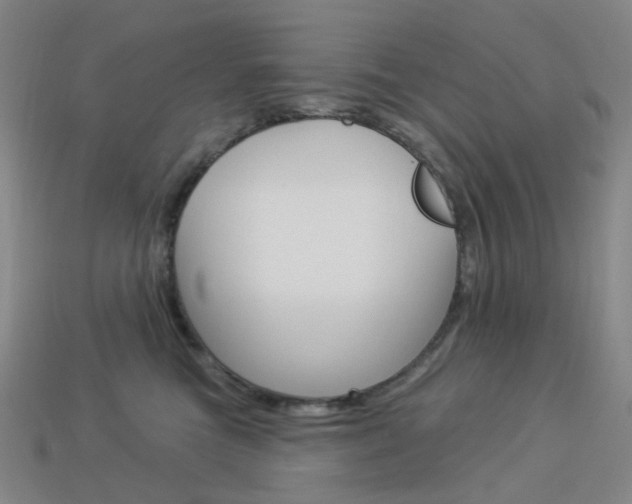 X0000114000473200910021034