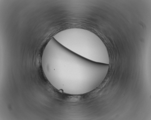 X0000114000474200910021034