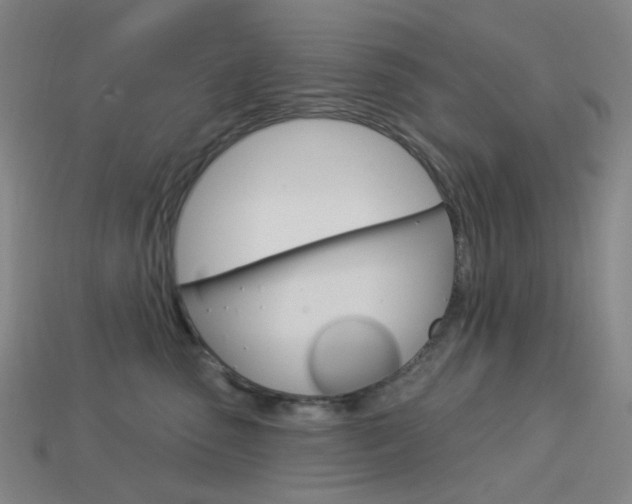 X0000114000475200910021034