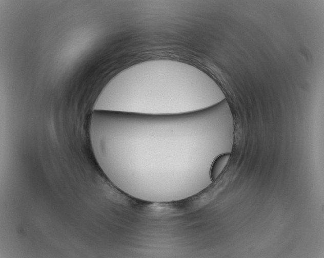 X0000114000477200910021034