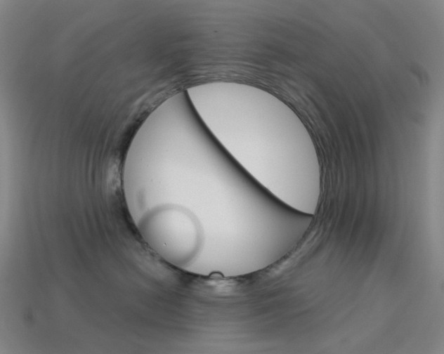 X0000114000478200910021034