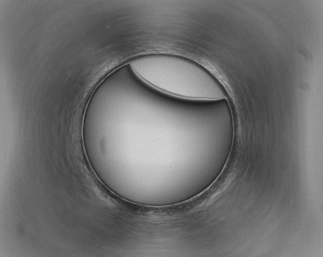 X0000114000481200910021033