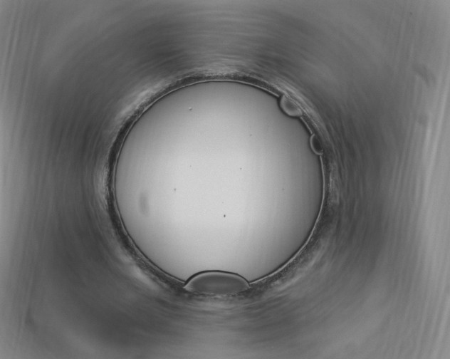 X0000114000485200910021033
