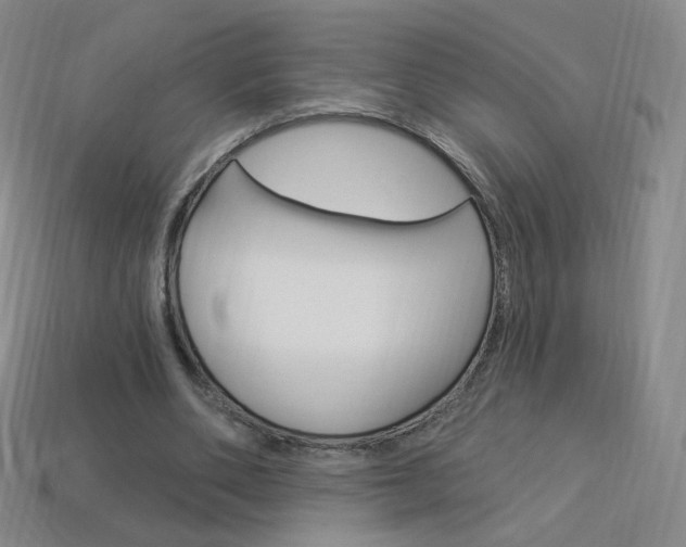 X0000114000486200910021033