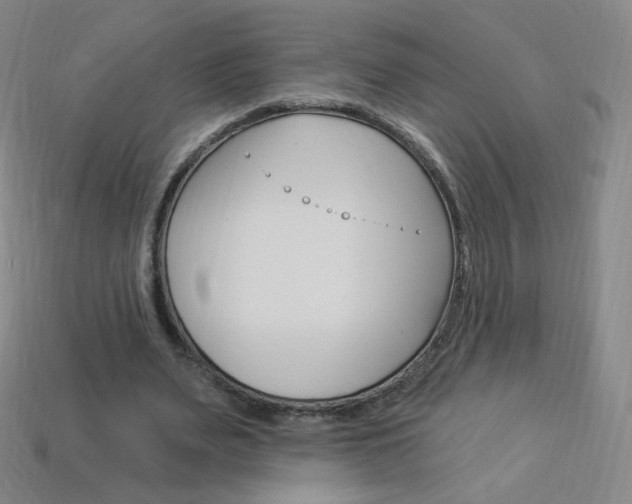 X0000114000487200910021033