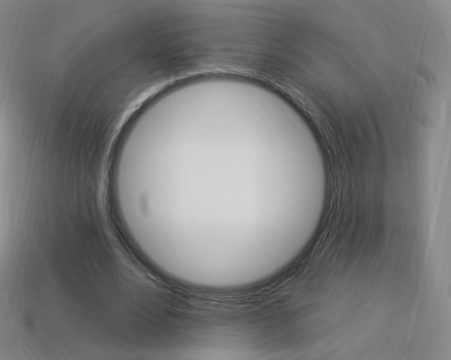 X0000114000488200910021033