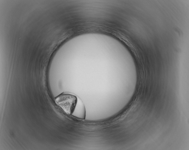 X0000114000489200910021033