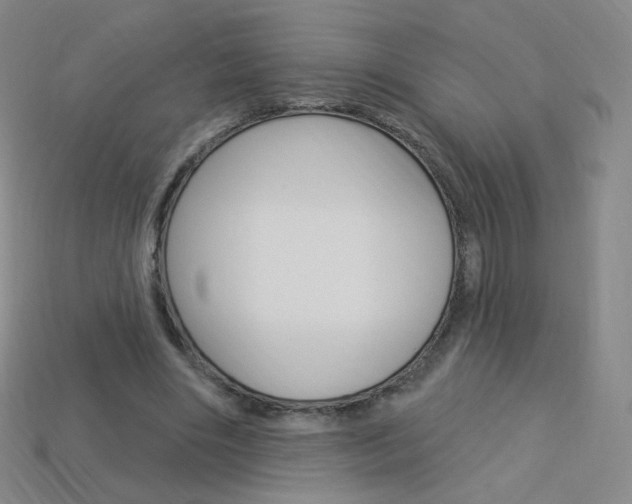 X0000114000490200910021033