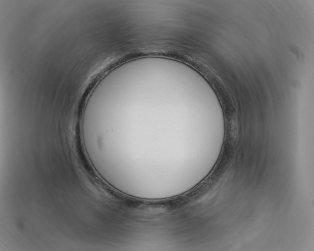 X0000114000491200910021033