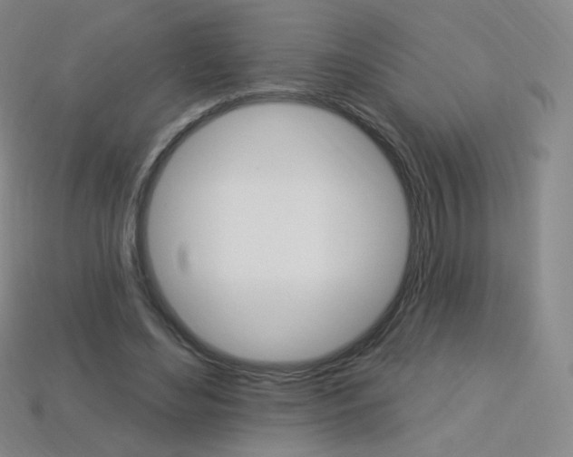 X0000114000492200910021033