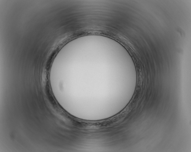 X0000114000494200910021033