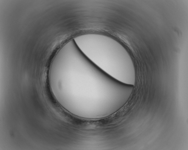 X0000114000495200910021033