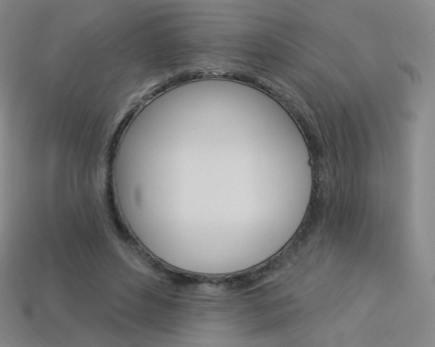 X0000114000496200910021033