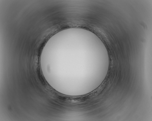 X0000114000498200910021033