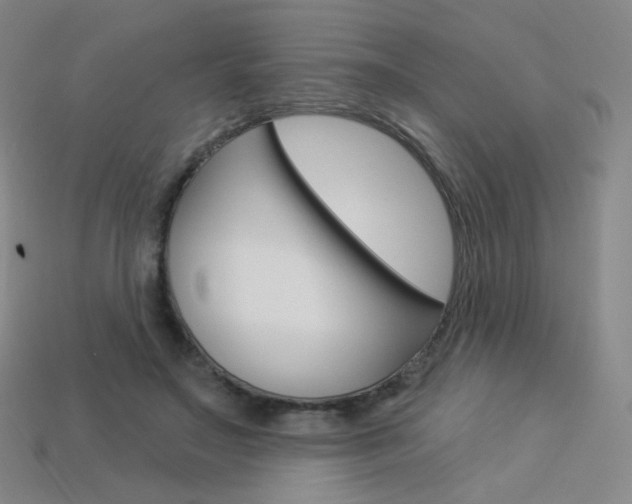 X0000114000499200910021033