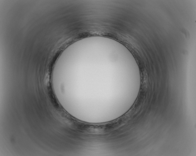 X0000114000502200910021033