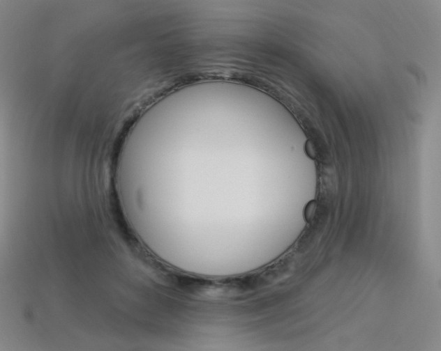 X0000114000504200910021033