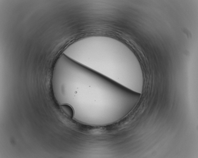 X0000114000505200910021033
