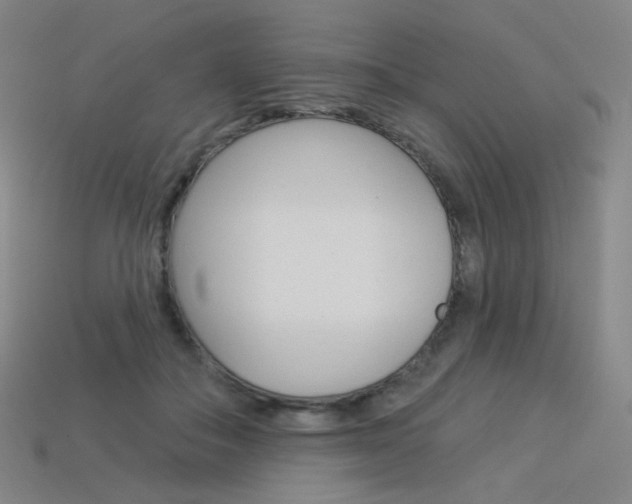 X0000114000506200910021033