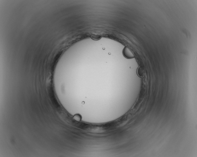 X0000114000507200910021033