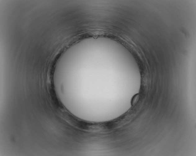 X0000114000516200910021033