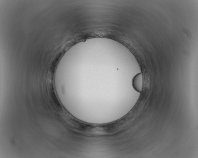 X0000114000518200910021033