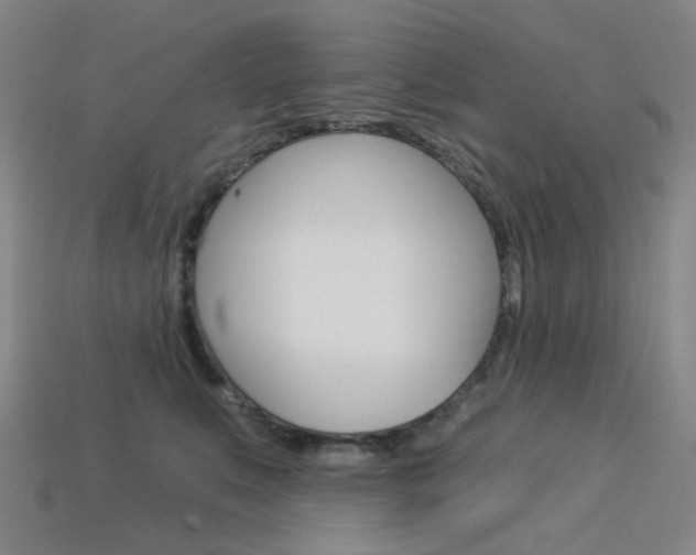 X0000114000519200910021033