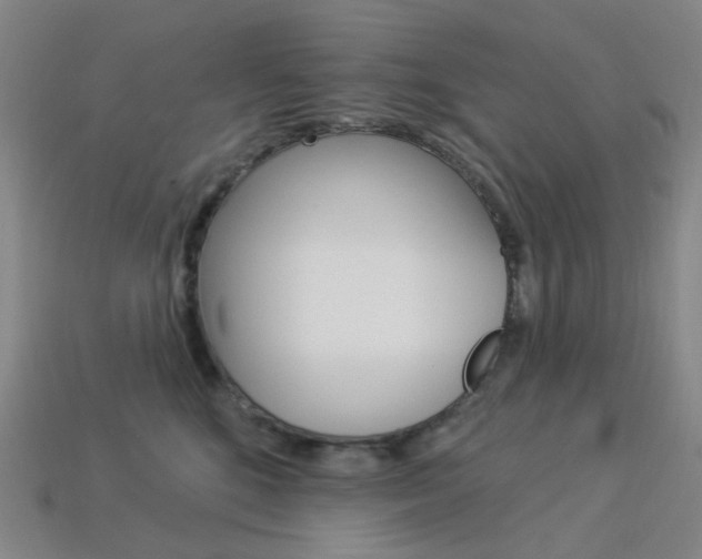 X0000114000520200910021033