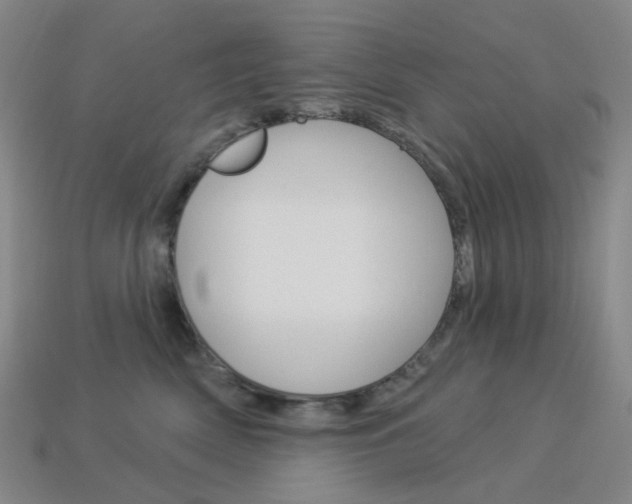X0000114000522200910021033