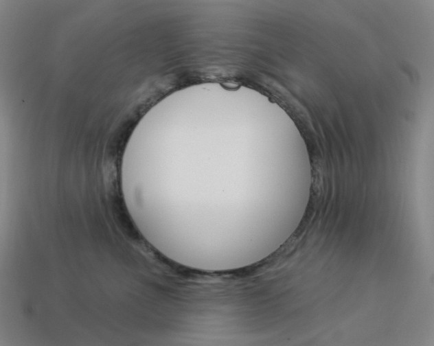 X0000114000523200910021033